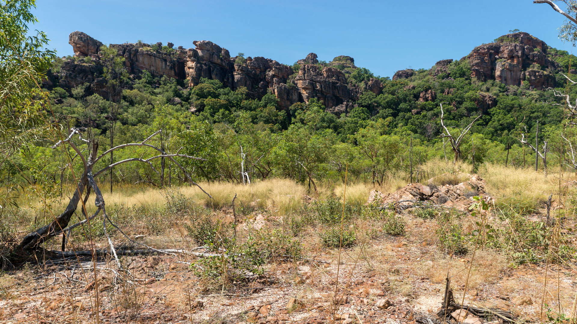 Kakadu National Park - Gubara Pools Walk